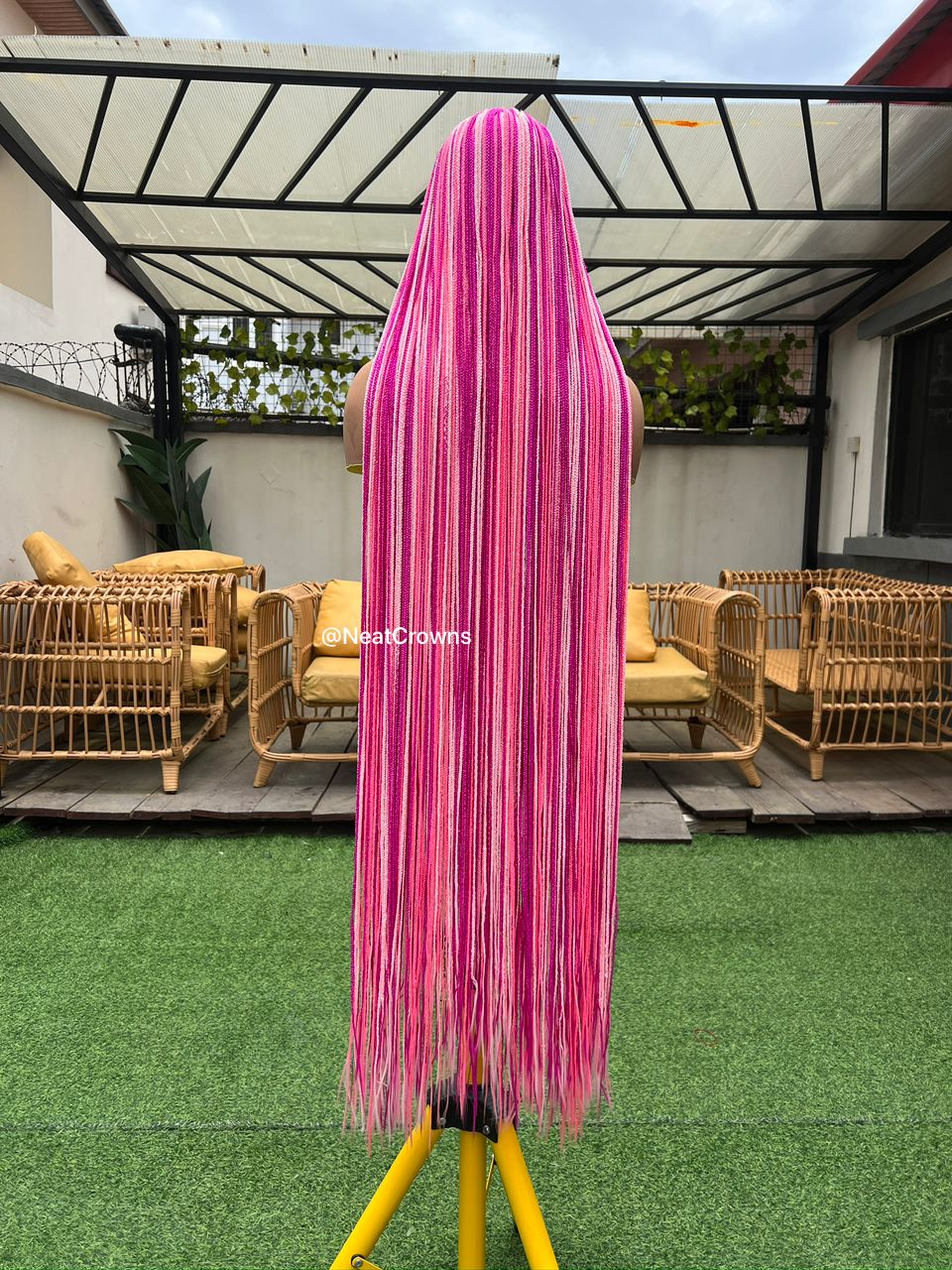 The PINKS Micro braids wig