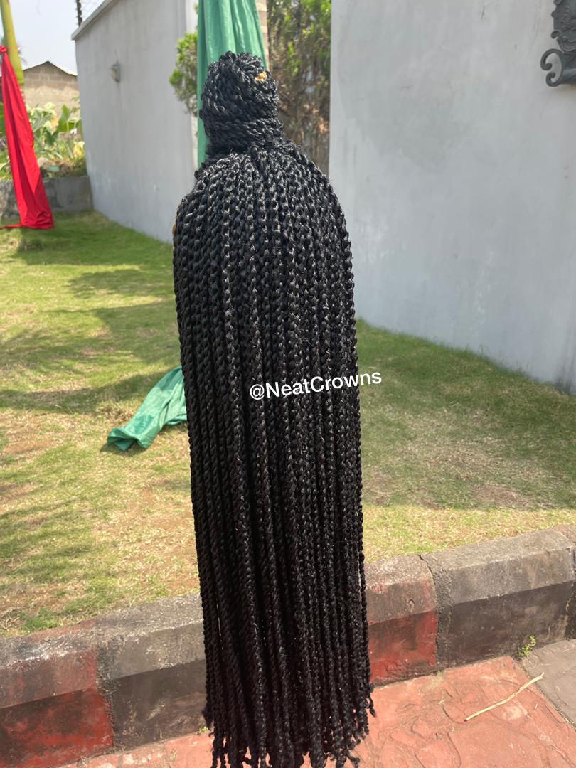 Passion Twists Wig