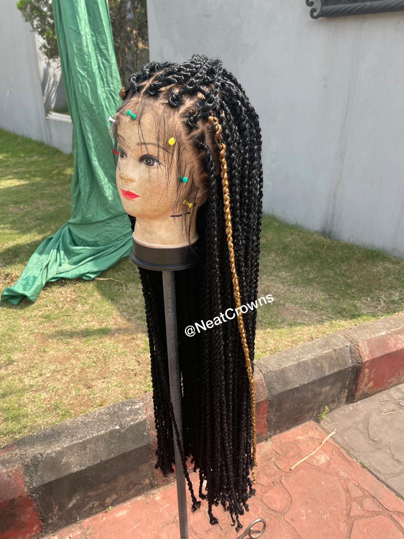 Passion Twists Wig