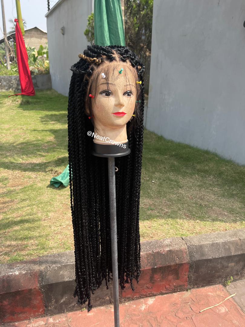 Passion Twists Wig